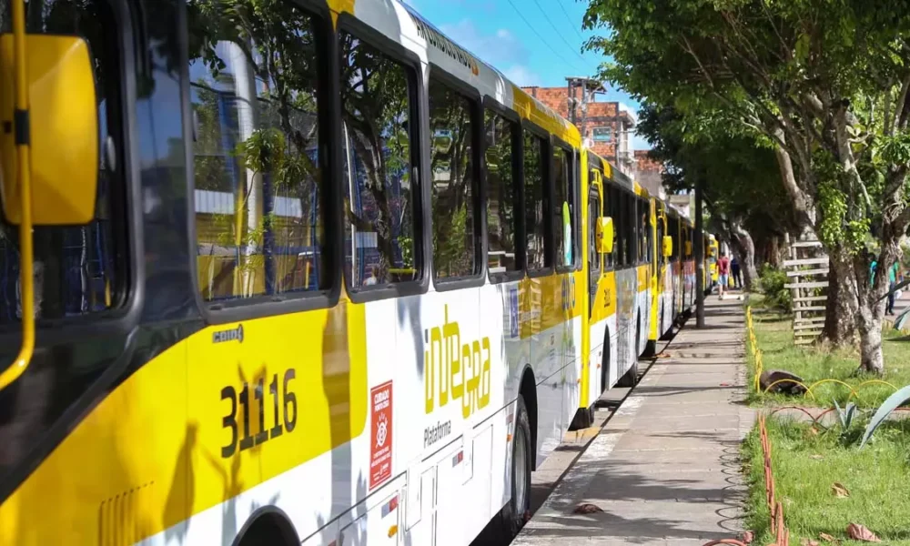 Os bFederação, Ribeira e Federação passam a contar, a partir desta terça-feira (24), com um novo atendimento. A linha 0213-01