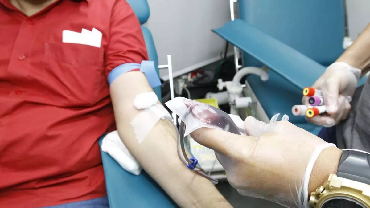 estoque de sangue da Fundação de Hematologia e Hemoterapia da Bahia (Hemoba) é a mais nova missão dos servidores
