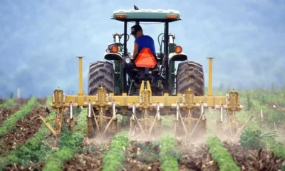 Se ligue nas vagas de emprego disponíveis no SineBahia para Salvador, RMS e interior do estado nesta terça-feira (22).
