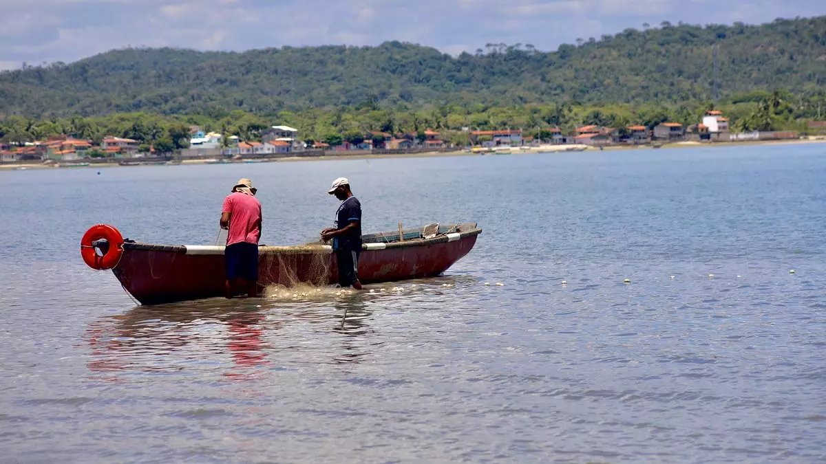 Entre as mais de 56 ilhas e 16 municípios que compõem a Baía de Todos-os-Santos (BTS), as histórias inspiradoras do pescador Antônio Souza,