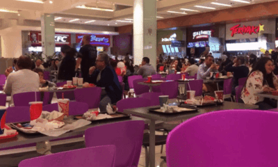 Se ligue nas vagas de emprego disponíveis no SineBahia para Salvador, RMS e interior do estado nesta quarta-feira (27).