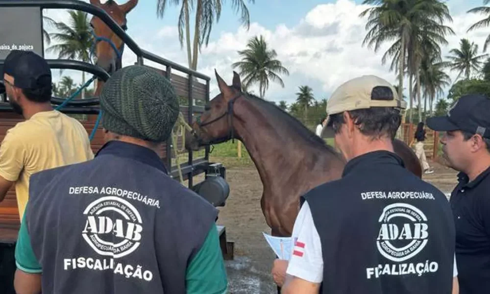 Direito Administrativo (Reda), de 241 técnicos de nível médio para atuarem na Agência de Defesa Agropecuária da Bahia (Adab).