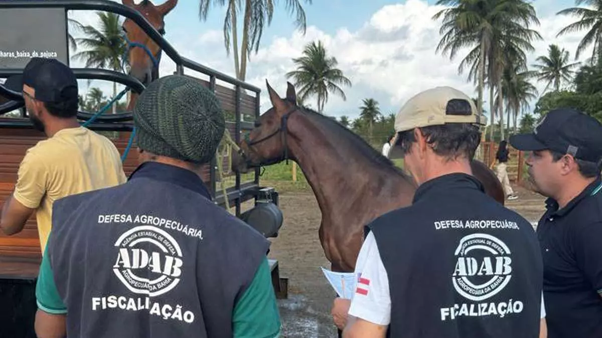 Direito Administrativo (Reda), de 241 técnicos de nível médio para atuarem na Agência de Defesa Agropecuária da Bahia (Adab).