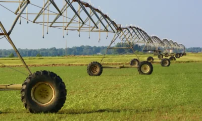 O oeste da Bahia já é a maior área irrigada por pivôs centrais no Brasil, superando a região Noroeste de Minas Gerais, que aparecia