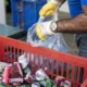 valorização dos trabalhadores da reciclagem foram reforçadas pelo Governo do Estado por meio do Ecofolia Solidária. O projeto busca