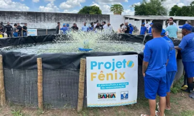 A primeira despesca do Projeto Fênix rendeu mais de uma tonelada de tilápias. O pescado foi extraído nesta segunda-feira (17),