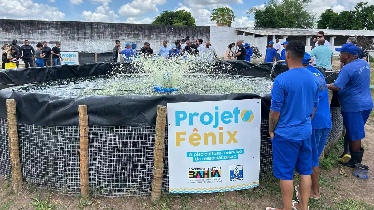 A primeira despesca do Projeto Fênix rendeu mais de uma tonelada de tilápias. O pescado foi extraído nesta segunda-feira (17),