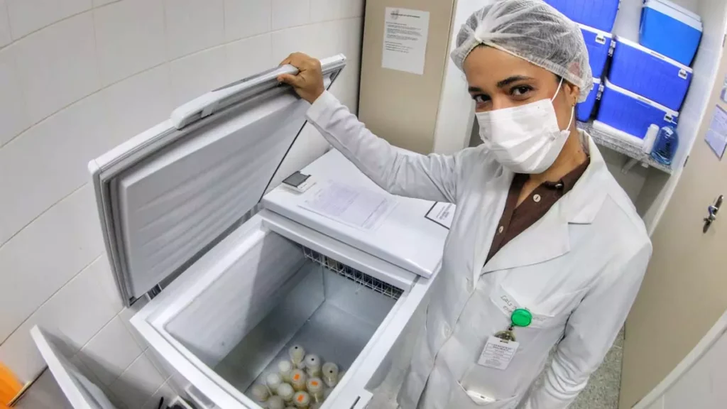 Apesar do acréscimo de 25,8% nas doações em 2024, o Banco de Leite Humano (BLH) da Maternidade Professor José Maria de Magalhães