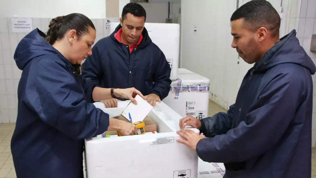 Ministério da Saúde, com 428 mil doses da vacina. A distribuição para os municípios será iniciada pela Secretaria da Saúde do Estado (Sesab)