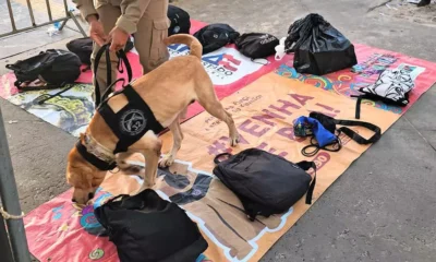 A Companhia de Operações com Cães (COC) do Batalhão de Polícia de Choque tem atuado estrategicamente em alguns dos 47 portais de