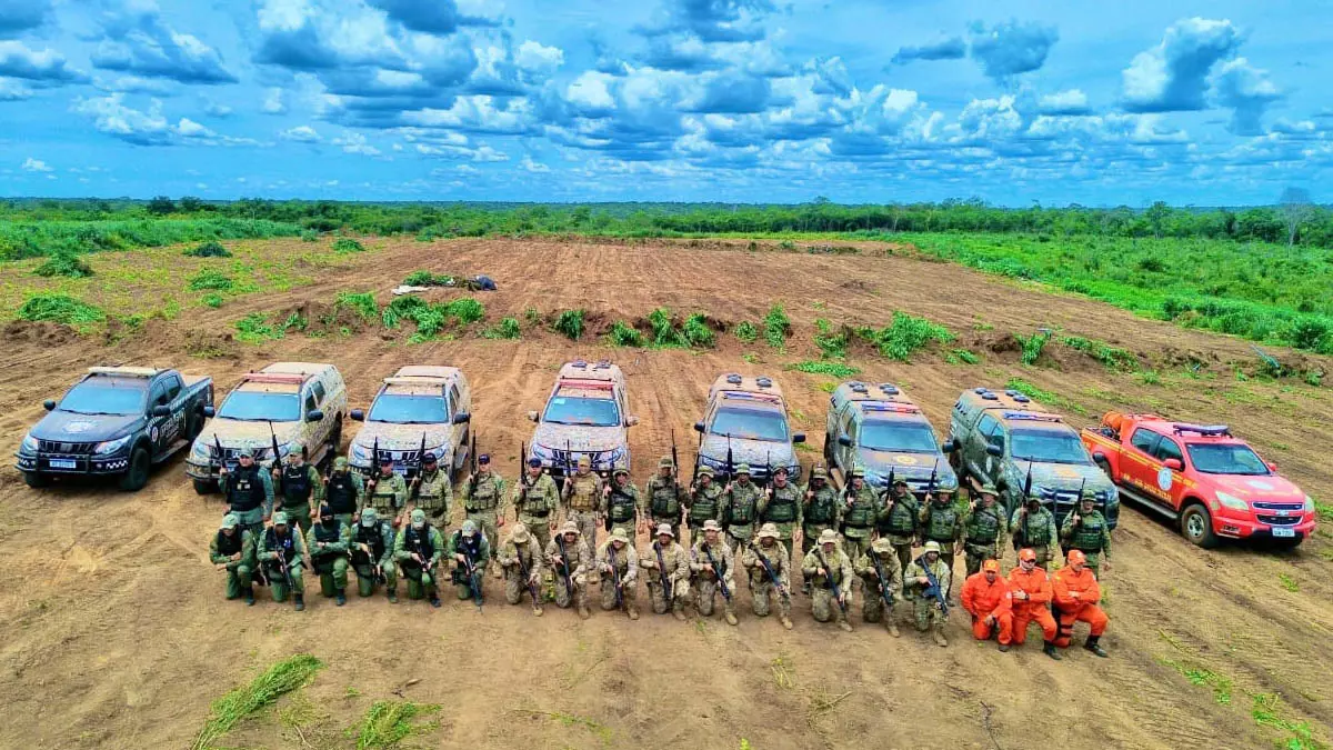 Piauí, extinguiram 120 mil pés de maconha em uma plantação em Sebastião Barros, na divisa entre os dois estados. Quatro pessoas