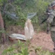 Policiais militares da Companhia Independente de Polícia de Proteção Ambiental (Cippa) Lençóis desmobilizaram um acampamento clandestino