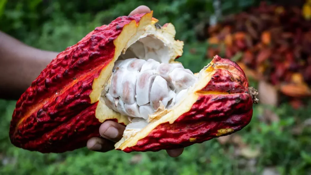 baseado na distribuição de renda e no fortalecimento da agricultura familiar, o estado se consolida como referência no setor, impulsionando