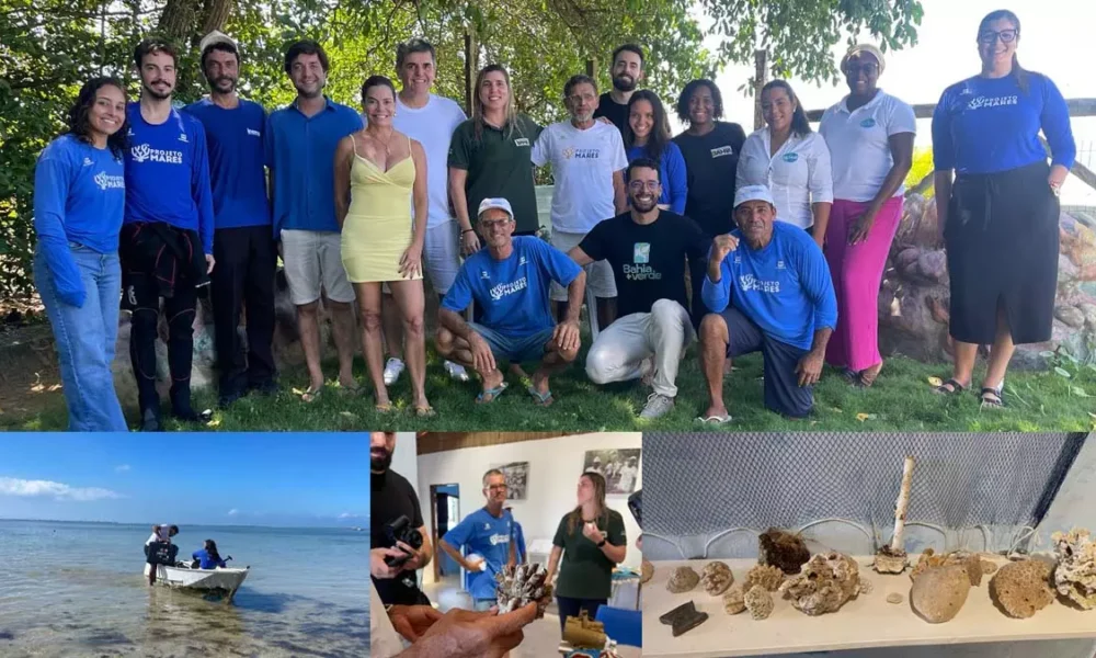 ações do 'Projeto Mares', que busca recuperar recifes de corais na região. A expedição foi acompanhada por uma equipe da assessoria de