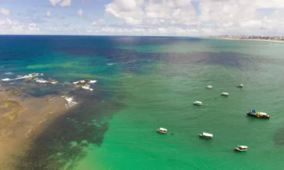 do Planejamento Espacial Marinho (PEM) do Nordeste. O evento é promovido pelo consórcio vencedor do PEM-Nordeste e é