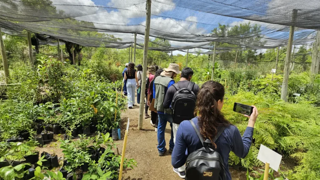Na Semana do Meio Ambiente, a Embasa celebra o trabalho do projeto Viveiro Educador que atua, desde 2017, na preservação da