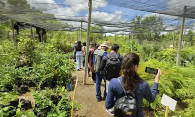 Na Semana do Meio Ambiente, a Embasa celebra o trabalho do projeto Viveiro Educador que atua, desde 2017, na preservação da