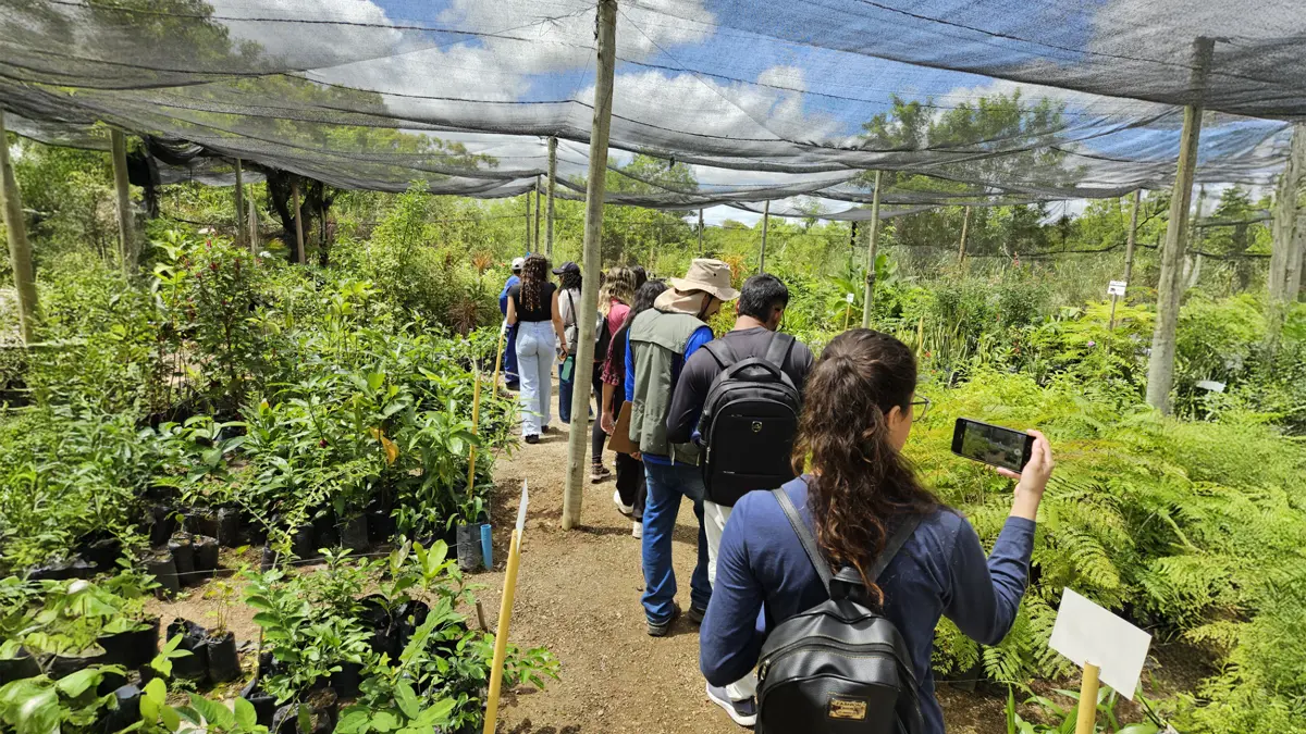 Na Semana do Meio Ambiente, a Embasa celebra o trabalho do projeto Viveiro Educador que atua, desde 2017, na preservação da