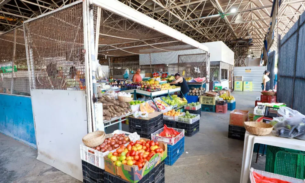 O Mercado do Ogunjá retomou as atividades na manhã desta segunda-feira (9). A liberação ocorreu após a conclusão das