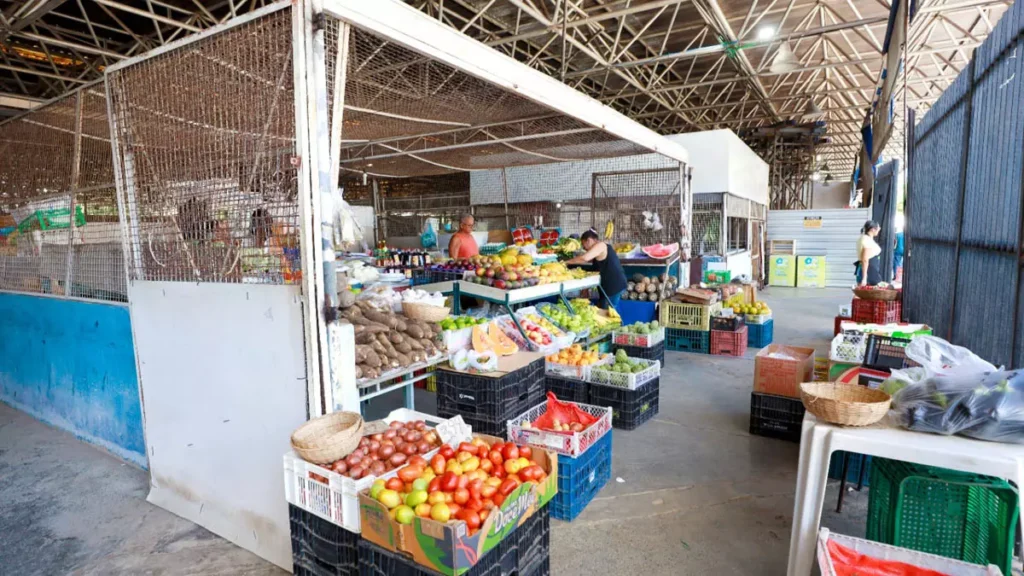 O Mercado do Ogunjá retomou as atividades na manhã desta segunda-feira (9). A liberação ocorreu após a conclusão das