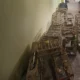 No último fim de semana, dias 14 e 15 de junho, mais de 50 aves silvestres foram resgatados durante ações realizadas por