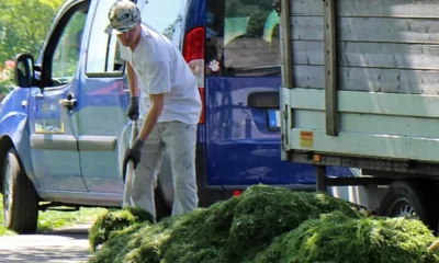 O Serviço Municipal de Intermediação de Mão de Obra (Simm) oferece 251 vagas de emprego e estágio em Salvador para esta terça-feira