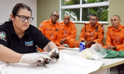 fogo exige mais que coragem: demanda preparo técnico especializado. Com esse objetivo, 40 bombeiros militares da Bahia