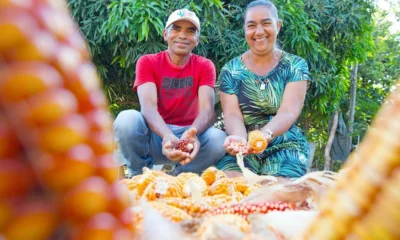 O primeiro semestre de 2025 foi marcado por avanços significativos no fortalecimento da agricultura familiar na Bahia. Por meio da Companhia