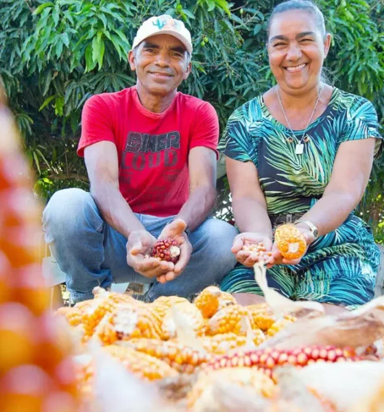 O primeiro semestre de 2025 foi marcado por avanços significativos no fortalecimento da agricultura familiar na Bahia. Por meio da Companhia