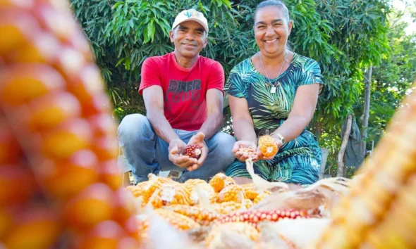 O primeiro semestre de 2025 foi marcado por avanços significativos no fortalecimento da agricultura familiar na Bahia. Por meio da Companhia