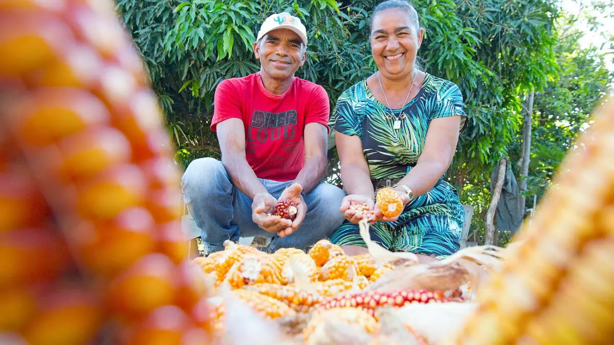O primeiro semestre de 2025 foi marcado por avanços significativos no fortalecimento da agricultura familiar na Bahia. Por meio da Companhia