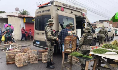 Agentes da Companhia Independente de Polícia de Proteção Ambiental (Coppa) resgataram 150 aves, na manhã deste domingo (6),