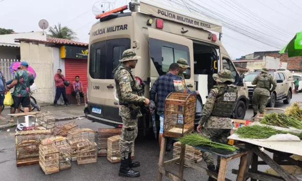 Agentes da Companhia Independente de Polícia de Proteção Ambiental (Coppa) resgataram 150 aves, na manhã deste domingo (6),