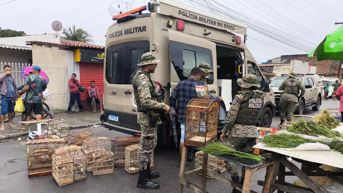 Agentes da Companhia Independente de Polícia de Proteção Ambiental (Coppa) resgataram 150 aves, na manhã deste domingo (6),