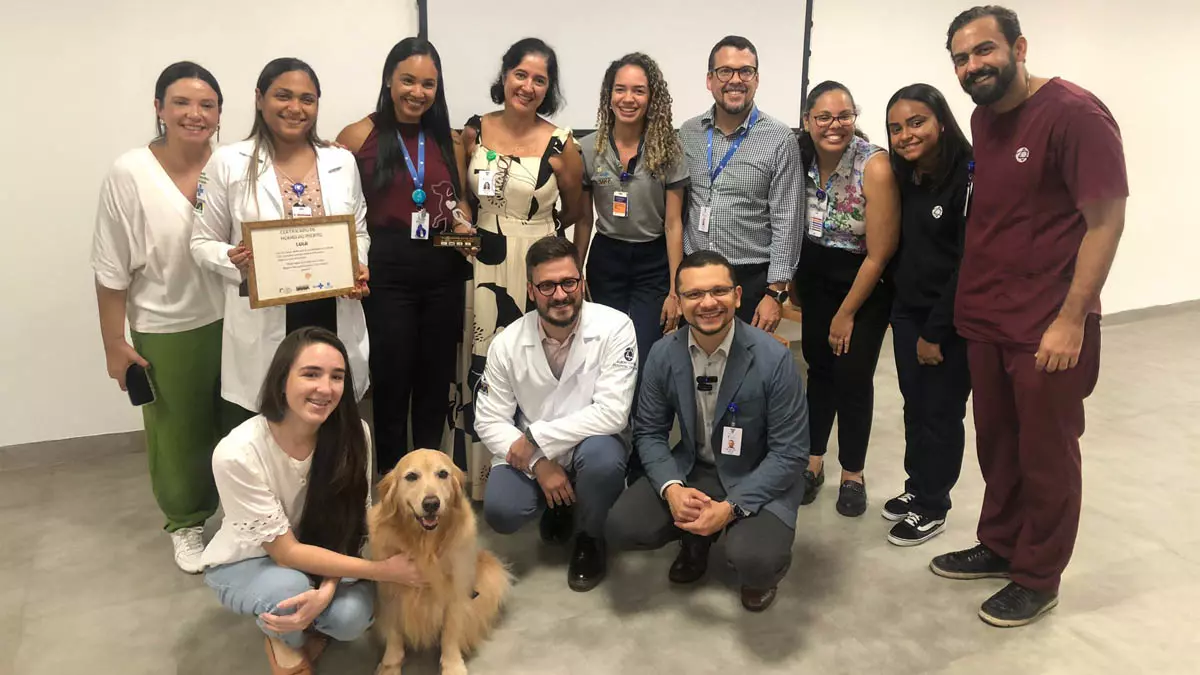 A golden retriever Lola completou um ano de atuação no Hospital Ortopédico do Estado da Bahia (HOEB), unidade pública administrada