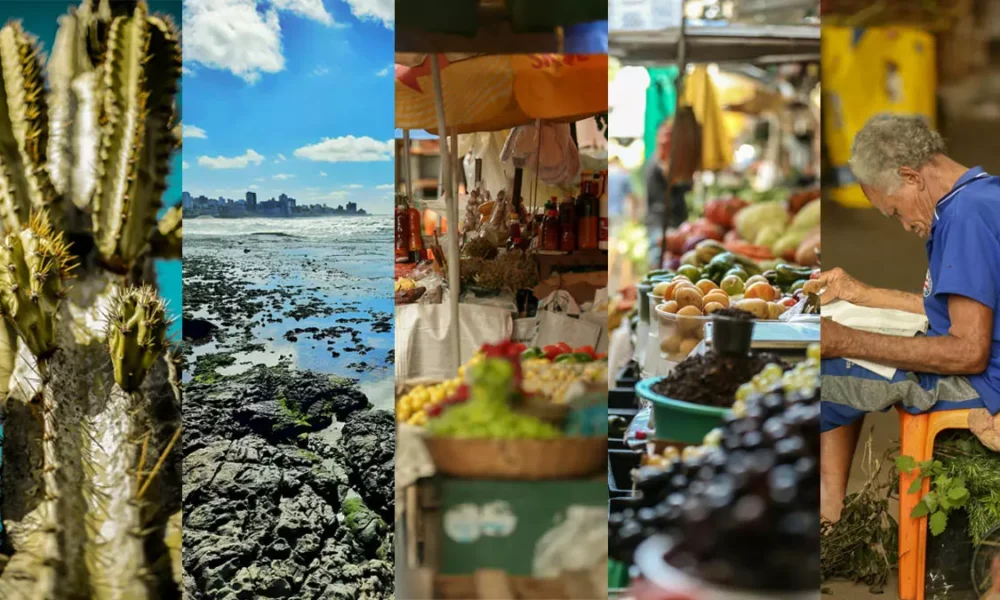 Neste sábado (16), às 10h, Salvador recebe um inspirador encontro fotográfico gratuito promovido pela Pexels, uma das maiores plataformas