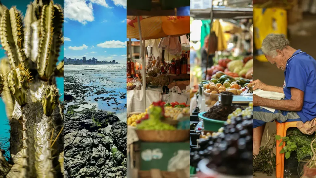 Neste sábado (16), às 10h, Salvador recebe um inspirador encontro fotográfico gratuito promovido pela Pexels, uma das maiores plataformas