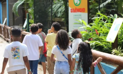 reabertura ao público, ocorrida no dia 3 de junho. Só no primeiro domingo, o Zoo registrou a impressionante marca de 12.260 pessoas,