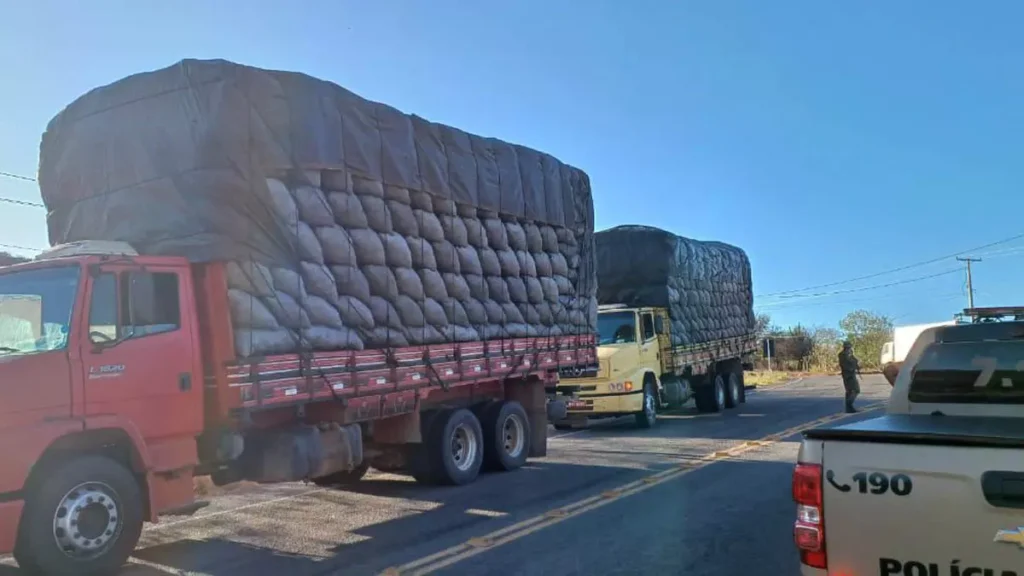 Uma guarnição da Cippa Lençóis apreendeu 1.800 sacos de carvão vegetal ilegais, na tarde de terça-feira (9), em Riacho de Santana.