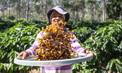 para mapear a infraestrutura e os atrativos do município. A iniciativa integra as ações da requalificação da Rota dos Cafés Especiais