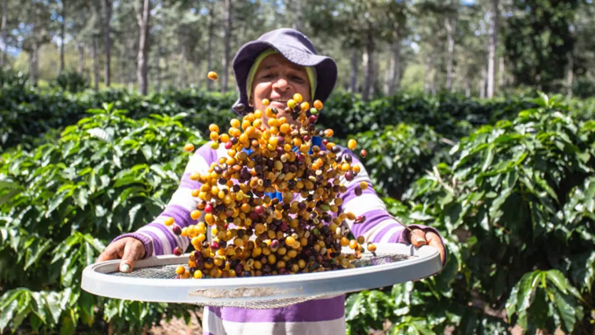 para mapear a infraestrutura e os atrativos do município. A iniciativa integra as ações da requalificação da Rota dos Cafés Especiais