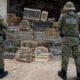 Na última quinta-feira (3), policiais militares da Coppa resgataram 39 aves silvestres que estavam sendo mantidas em cativeiro em Salvador.