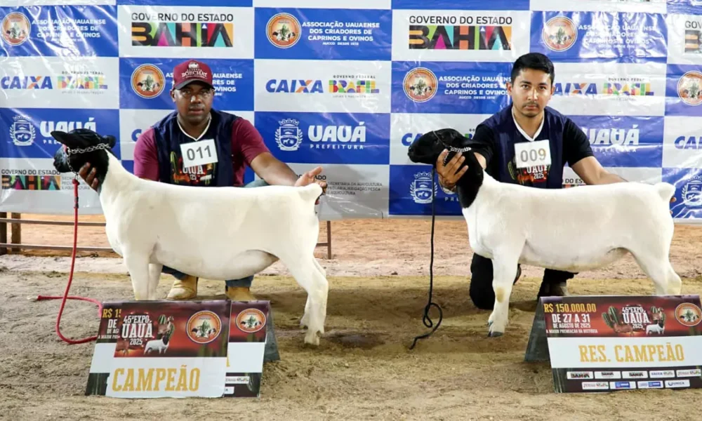 Com apoio da Secretaria de Agricultura, Pecuária, Irrigação, Pesca e Aquicultura da Bahia (Seagri), a 45ª Expo Uauá