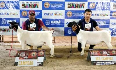 Com apoio da Secretaria de Agricultura, Pecuária, Irrigação, Pesca e Aquicultura da Bahia (Seagri), a 45ª Expo Uauá