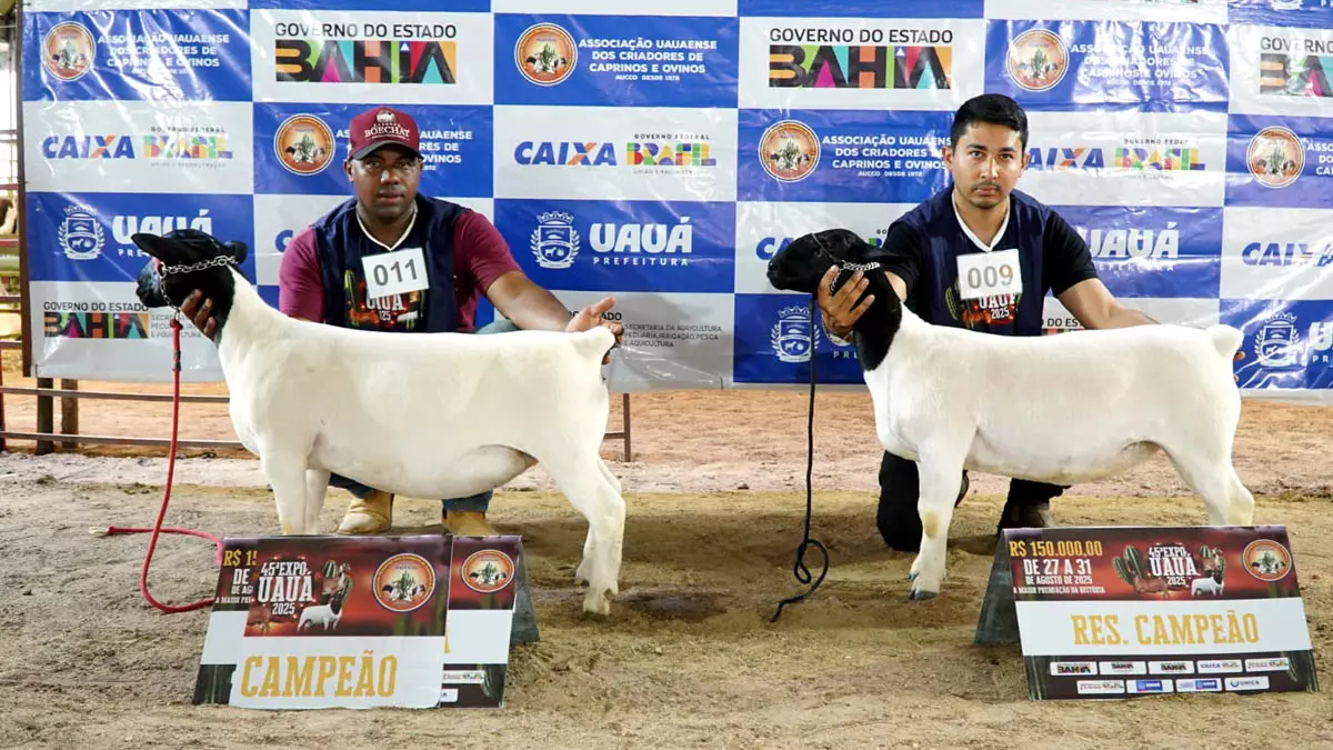 Com apoio da Secretaria de Agricultura, Pecuária, Irrigação, Pesca e Aquicultura da Bahia (Seagri), a 45ª Expo Uauá