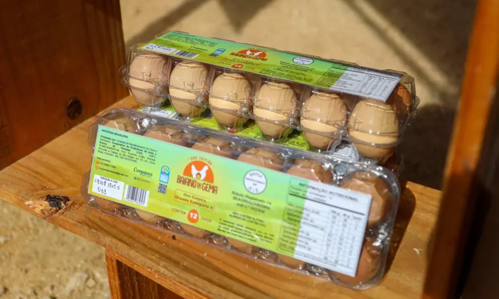 Baiano da Gema é a nova marca de ovos caipiras da agricultura familiar da Bahia, lançada no último fim de semana durante