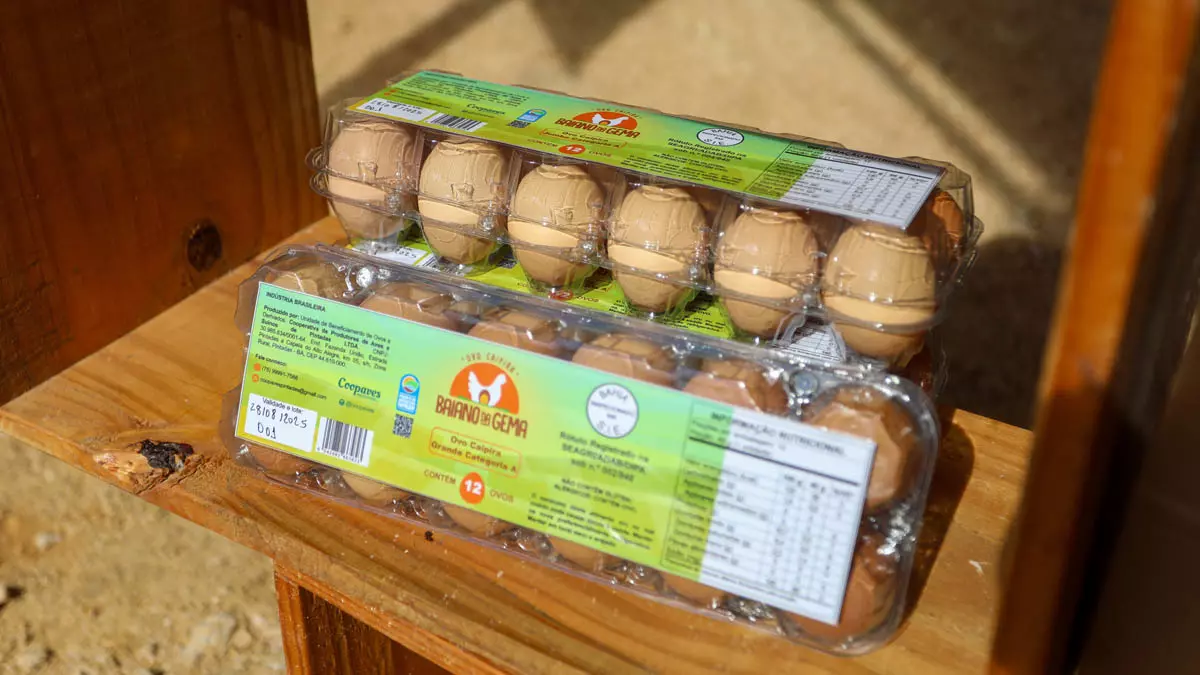Baiano da Gema é a nova marca de ovos caipiras da agricultura familiar da Bahia, lançada no último fim de semana durante