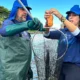 invasora que ameaça a biodiversidade da Baía de Todos-os-Santos (BTS) e restringe o uso tradicional deste estuário pela comunidade e