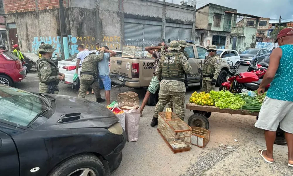 Policiais Militares da Companhia Independente de Polícia de Proteção Ambiental, resgataram aves silvestres, na manhã deste domingo (10),