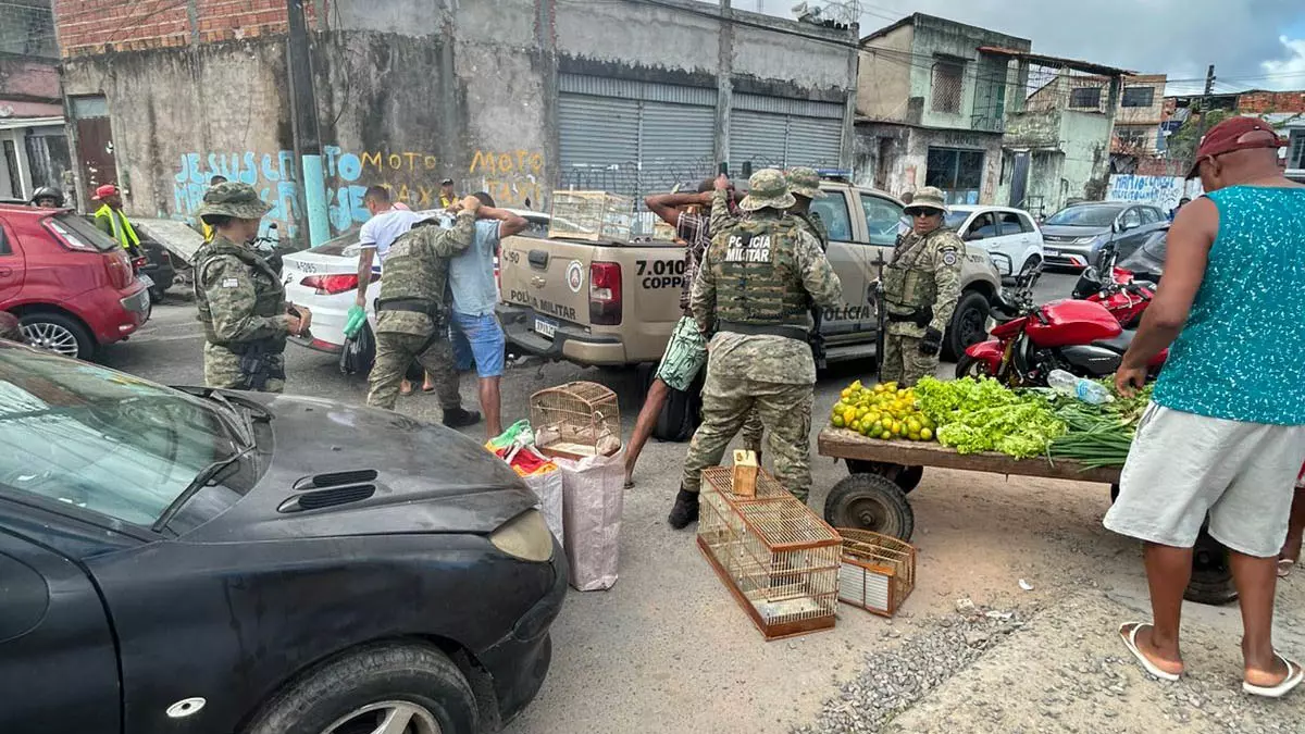 Policiais Militares da Companhia Independente de Polícia de Proteção Ambiental, resgataram aves silvestres, na manhã deste domingo (10),